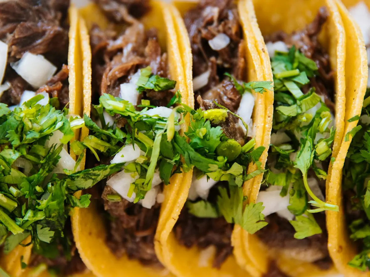 Three corn tacos of shredded beef with chopped onion and cilantro